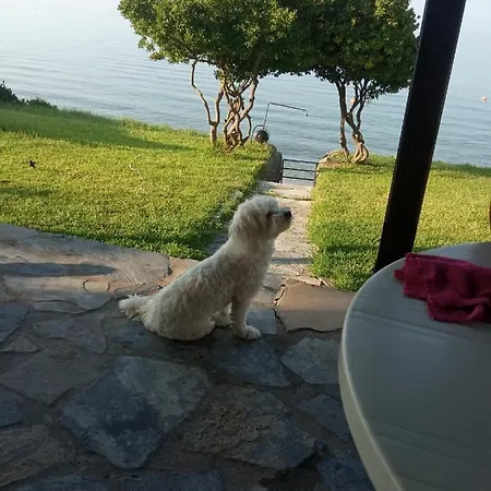 Olga House In Front Of The Polikhronon