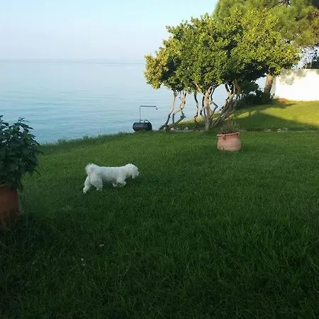 Semesterbostad Olga House In Front Of The