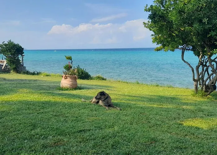 Hébergement de vacances Olga House In Front Of The *