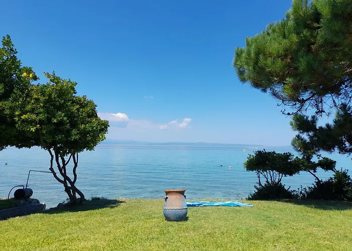 Olga House In Front Of The