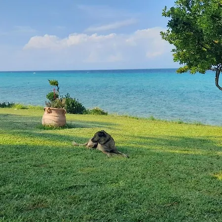 Holiday home Olga House In Front Of The *