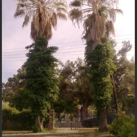 Olga House In Front Of The Holiday home *