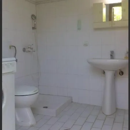 Olga House In Front Of The *