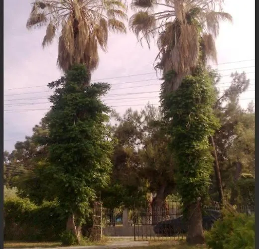Olga House In Front Of The Σπίτι διακοπών *